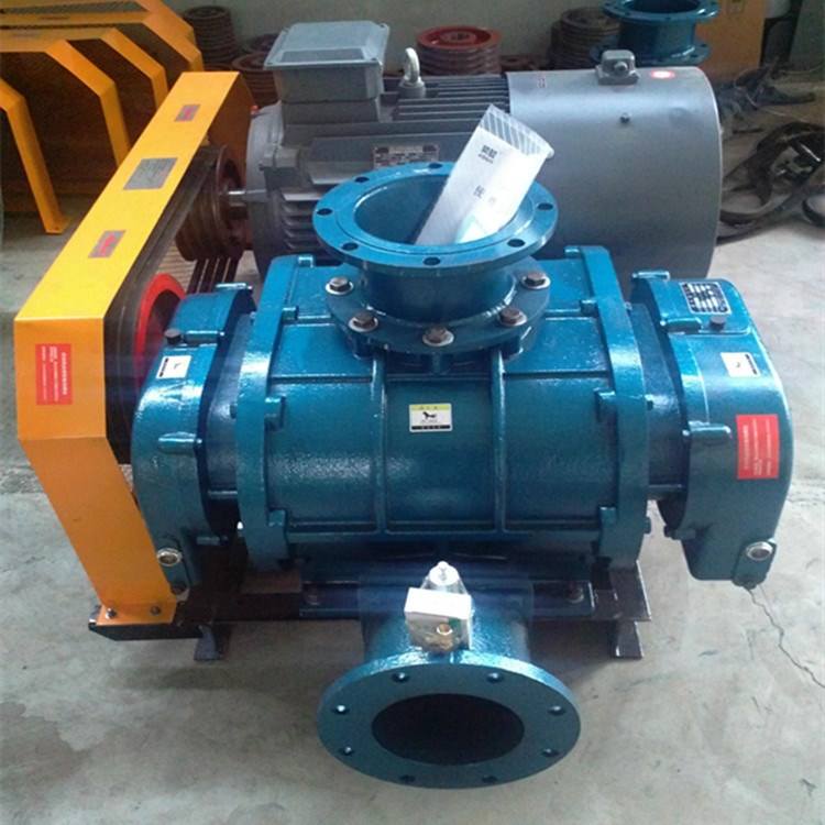 山东MSR225三叶罗茨鼓风机(图2)